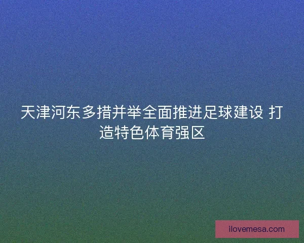 天津河东多措并举全面推进足球建设 打造特色体育强区